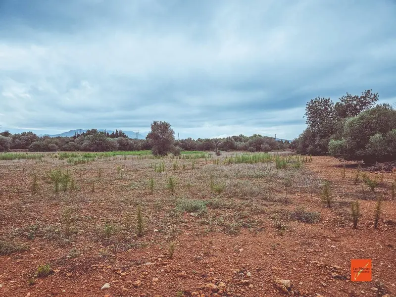 Terreno Rustico en Venta Santa Barbara Tarragona