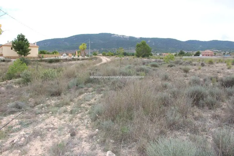 Terreno en Venta Monóvar Alicante