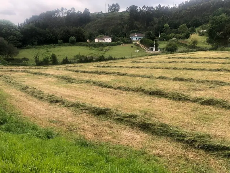 venta Terreno en Valsera, Asturias (106801172)- Globaliza