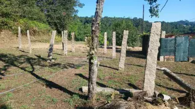 Casa en Venta en Mos con Bodegas y Gran Parcela