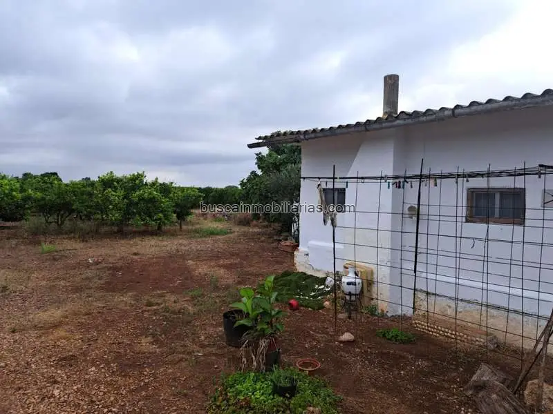 Parcela Rustica en Venta en Vinaros 8500m2 con Caseta