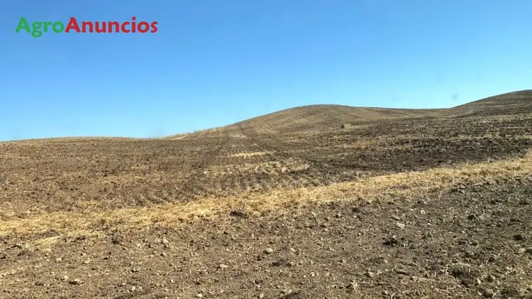 Venta  de Terreno de secano en Seville