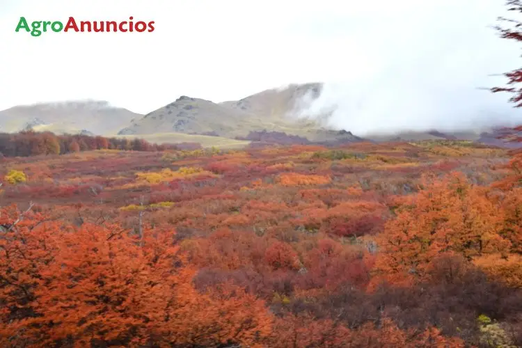 Venta  de Finca rústica en Málaga