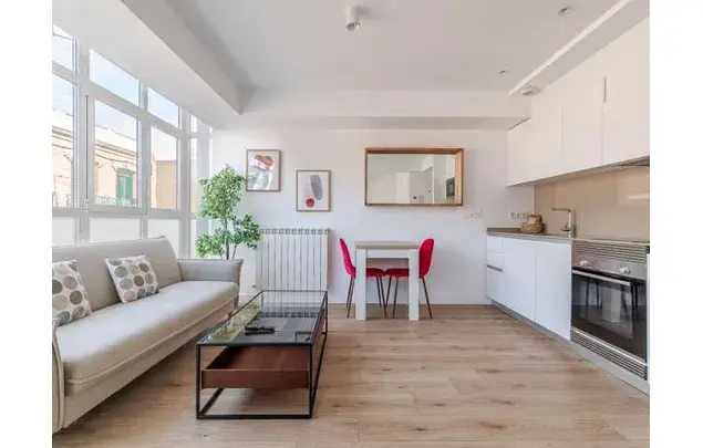 Estudio Moderno 35m2 Madrid Amueblado Mascotas