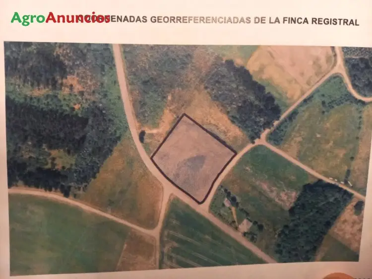 Venta  de Finca rústica en Lugo