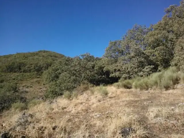 Finca Rústica en Jaraiz de la Vera 1.5Ha 500m2 Edificabilidad