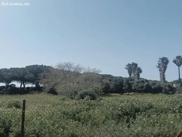 Parcela Rustica Pago del Humo 60360m2