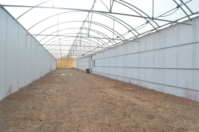 Terreno Rustico en Alquiler Torrellano Elche Alicante
