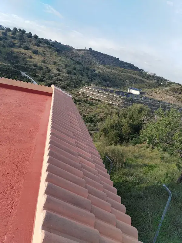 Finca con Casa de Campo y Cultivo de Mangos en Malaga