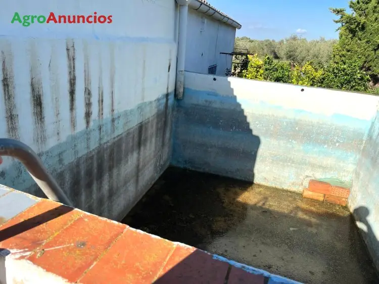 Finca Olivos Almacén Tarragona