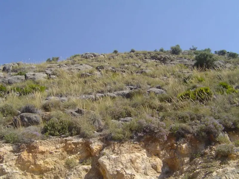 Terreno en Venta Sierra Gorda Coin