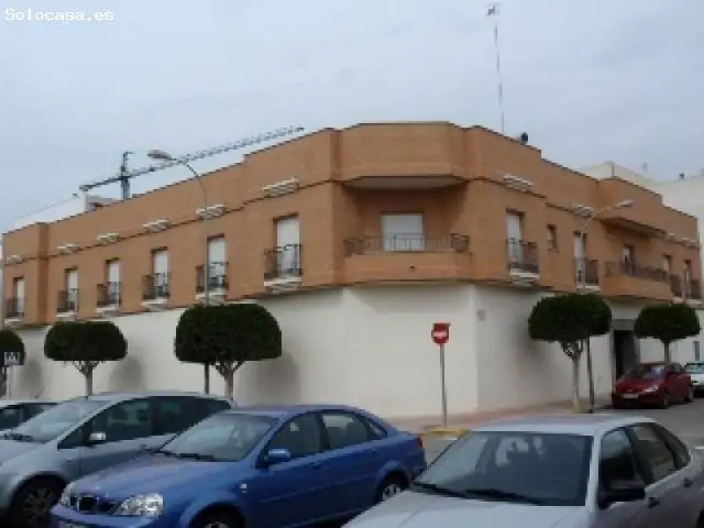 Local Comercial El Ejido Zona Sur