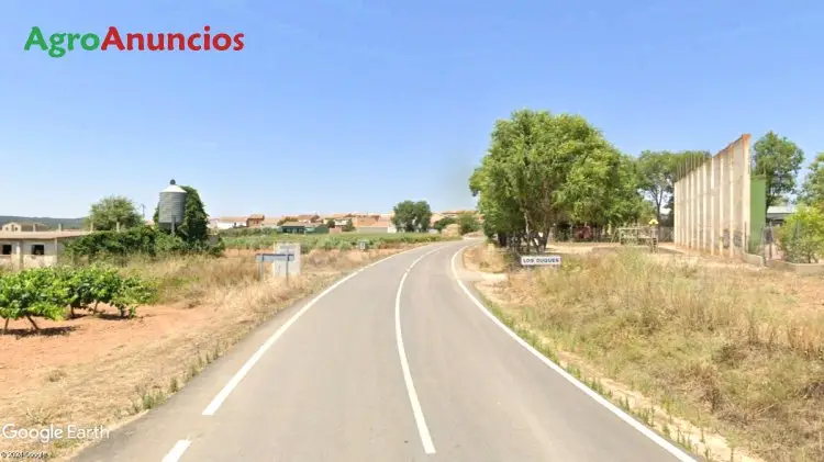 Venta  de Finca de almendros con almacen en Valencia