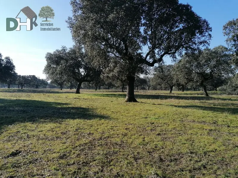 Venta Finca Rustica 780 Hectareas Ganaderia Caza Caceres