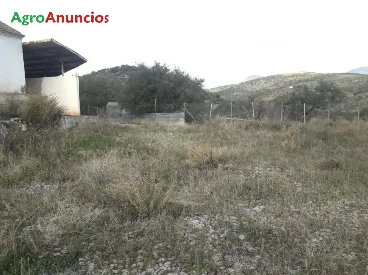 Venta  de Finca con casa de campo a restaurar en Málaga