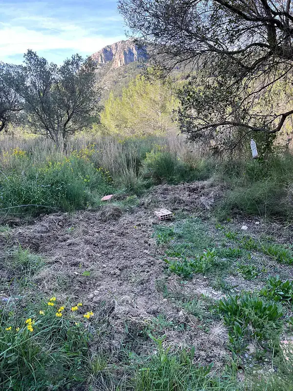 Terreno en Bolulla con Vistas Espectaculares 15000m2