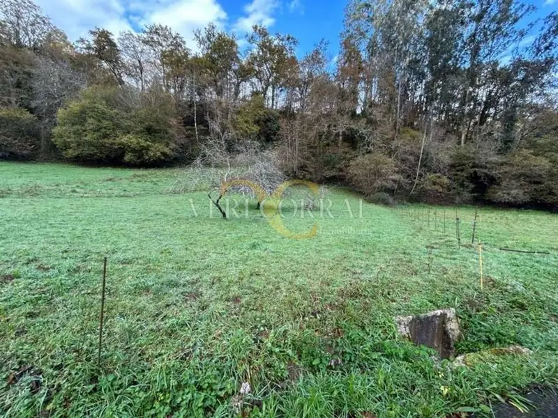 Venta Chalet Llanes Asturias Valle Ardisana