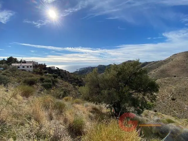 Venta Terreno Cotobro Almuñécar Vistas Panorámicas