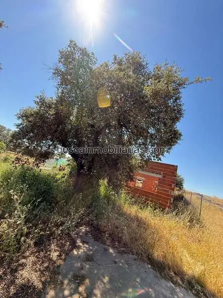 Finca Rustica en Venta Esparragalejo 2000m2