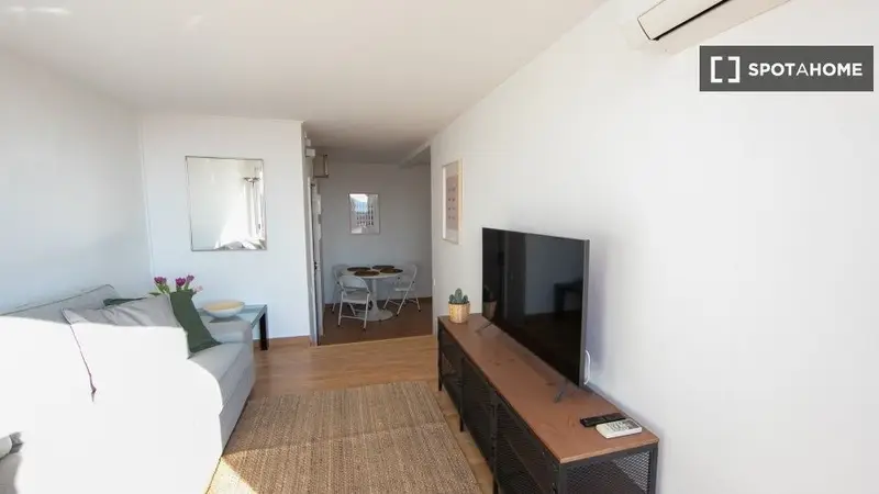 Apartamento 1 Dormitorio 1 Baño en Barcelona