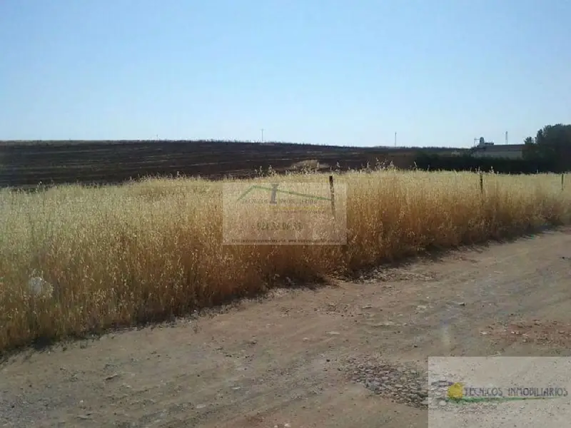Venta Parcela 1100m2 en Mérida, Badajoz