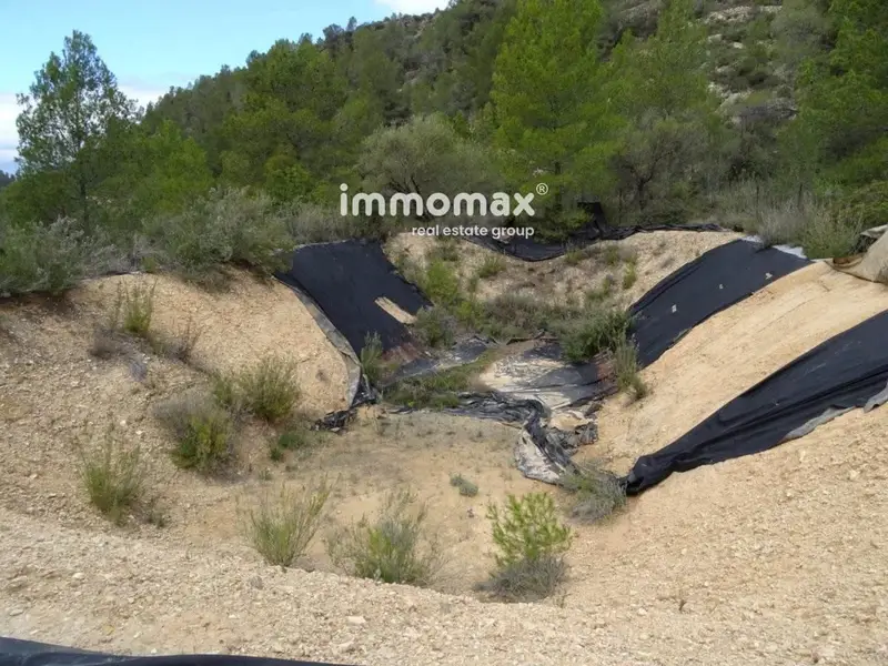 Finca Rustica con Masia en Benifallet Tarragona