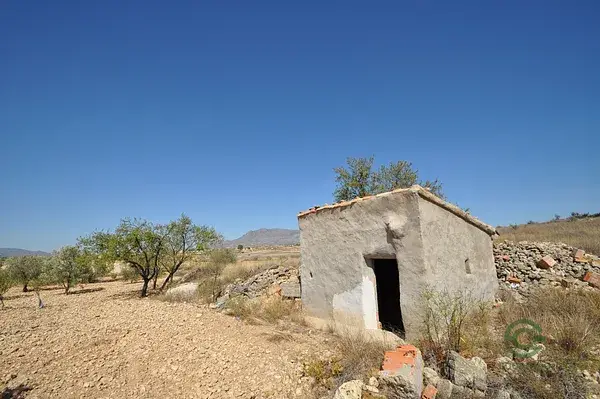Parcela Agricola Jumilla 1 18ha Torre del Rico