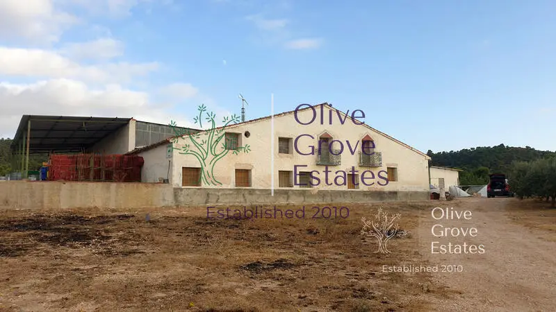 Finca Rustica con Viñedo Productivo y Casa de Caza