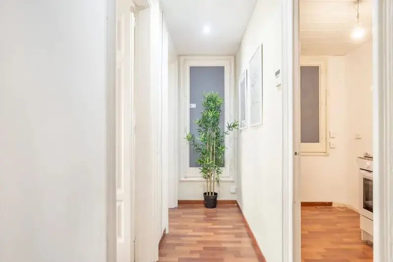 Apartamento 1 Dormitorio 1 Ba
																																																																																																																																																																																																																																																																																																																																																																																																																																																																																																																																																																																																																																																																		
ño Barcelona