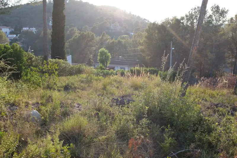 Solar en Olivella Barcelona Parcela Plana 1300m2 Mas Mestre