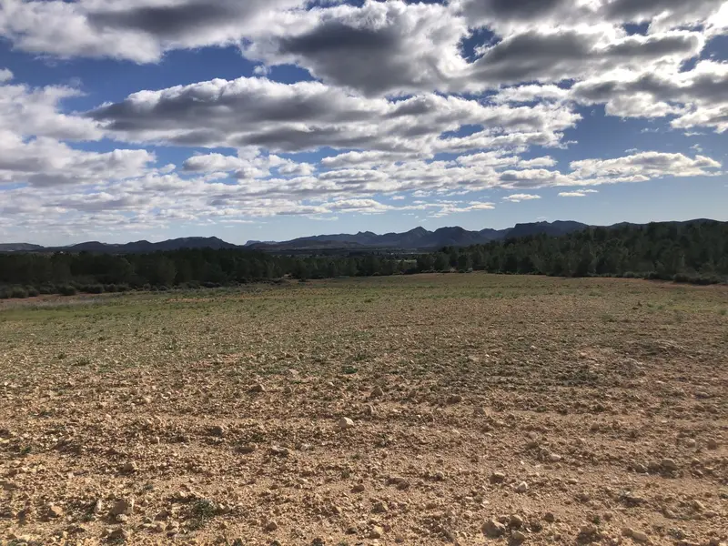Venta Finca Rustica Regadio Hellin
