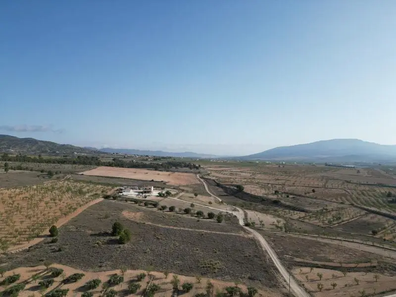 Parcela en venta Pinoso Alicante 19502m2 Vistas Montañas