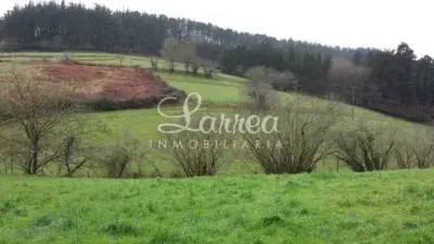 Caserío en Venta en Larrabetzu 1816