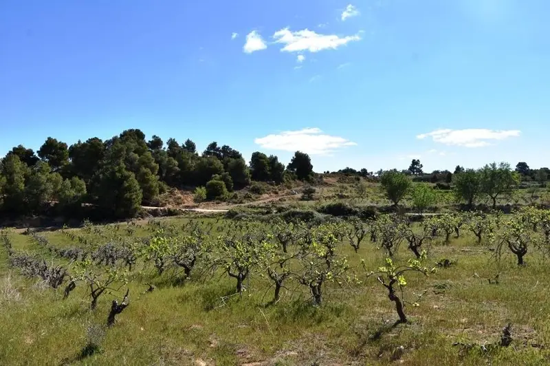 Venta Finca con Jardin en Valderrobres