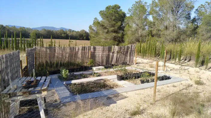 Casa Rural 1 Dormitorio 47 hectareas Murcia