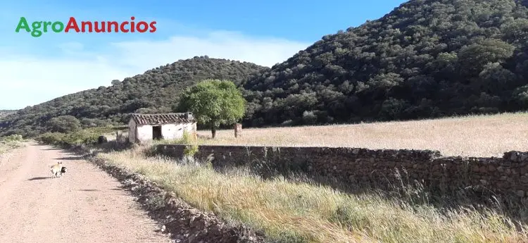 Venta  de Finca de recreo en Toledo