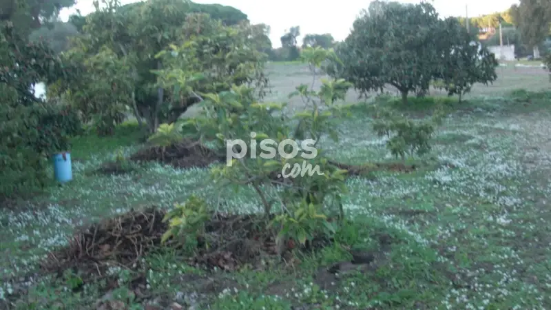 Finca Rústica en El Soto Vejer de la Frontera