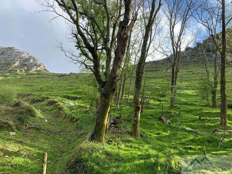 Venta Terreno Rustico en Lierganes