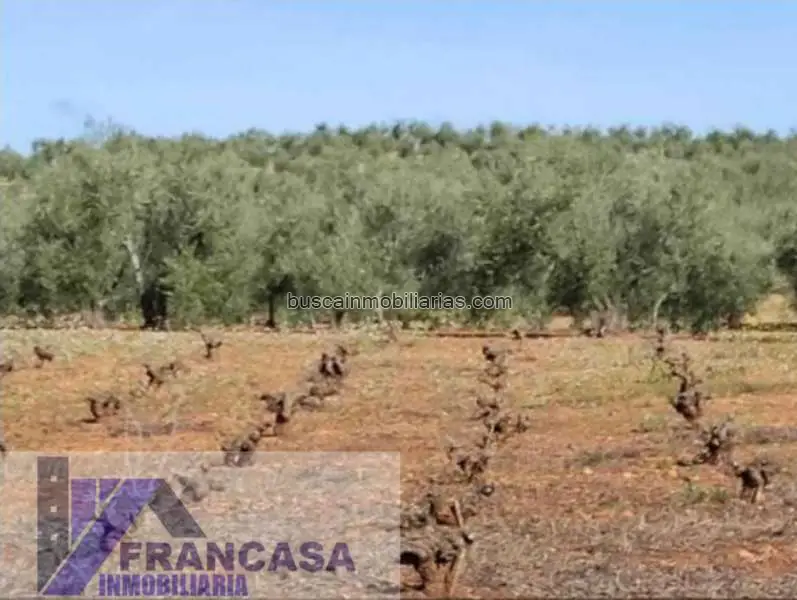 Parcela Rustica en Venta Badajoz 55778m2 Valduro Inversores