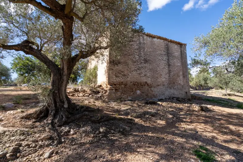 Finca Rustica en Venta cerca de Xerta Tarragona