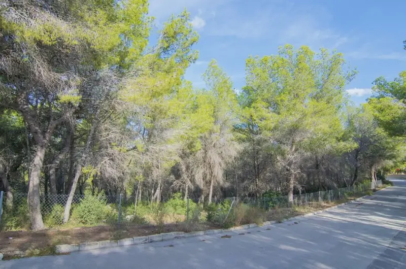 Venta Parcela Empedrola Calpe 2000m2 Vistas Despejadas