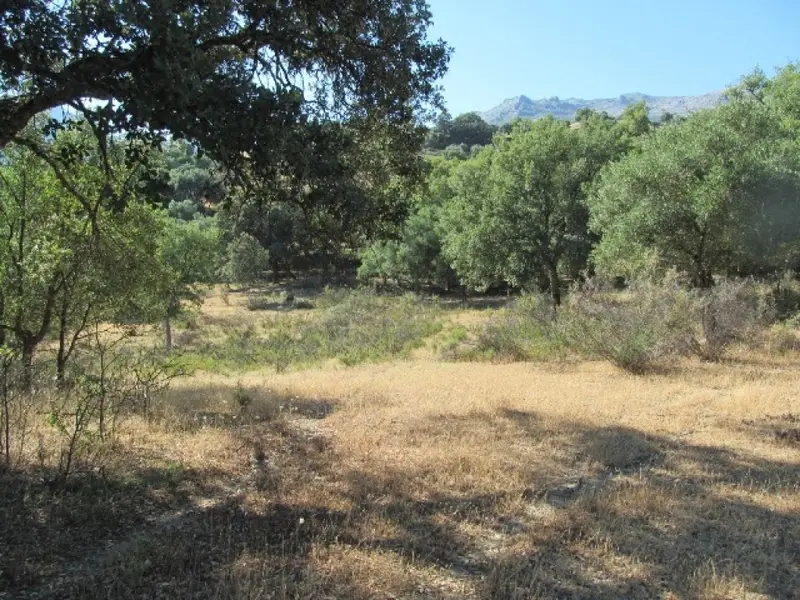 Venta Suelo Cortes de la Frontera 75018m2