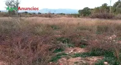 Venta  de Finca rustica para cítricos, opción vivienda recreo en Valencia