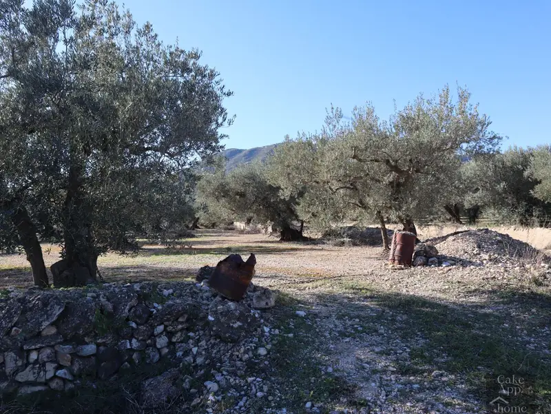 Venta Terreno Roquetes Finca Rustica Olivos Casa Campo