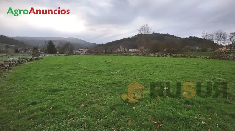 Venta  de Finca de recreo en Cantabria