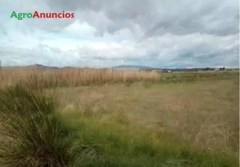 Venta  de Terreno de regadío en La Rioja