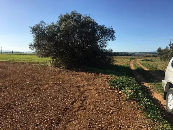 Terreno en Venta Siurana 2300m2 Vistas Panorámicas