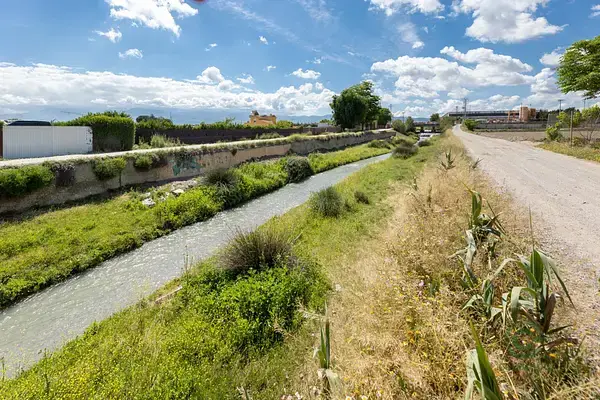 Suelo Rustico Cullar Vega 3698m2 Alto Rendimiento