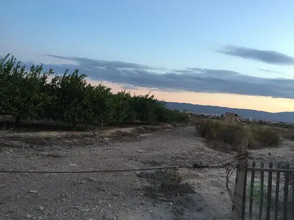 Parcela con Limoneros en Murcia