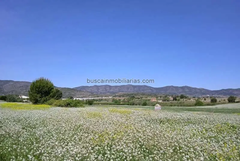 Parcela Industrial en Venta Agullent
